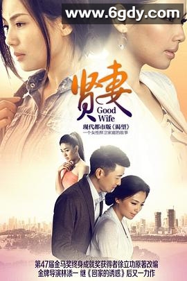 贤妻2013(2013)完结完结迅雷网盘全集下载