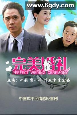完美婚礼(2011)完结已完结迅雷网盘全集下载