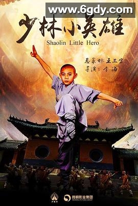 少林小英雄(2019)完结全12集迅雷网盘全集下载