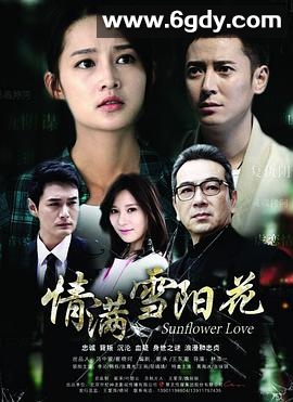 情满雪阳花(2015)完结已完结迅雷网盘全集下载
