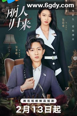 丽人归来(2025)完结24集全迅雷网盘全集下载