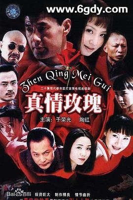 真情玫瑰(2002)完结全20集迅雷网盘全集下载