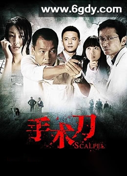 手术刀(2011)完结全22集迅雷网盘全集下载