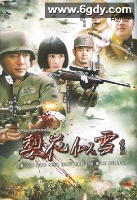 梨花似雪(2010)完结已完结迅雷网盘全集下载