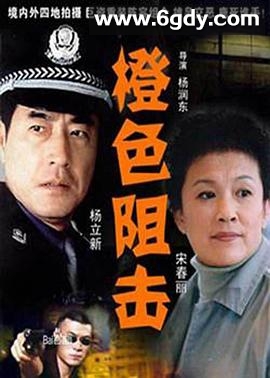 橙色阻击(2005)完结全27集迅雷网盘全集下载