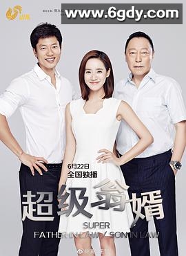 超级翁婿(2017)完结已完结迅雷网盘全集下载