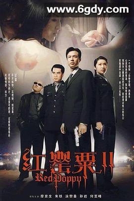 红罂粟2(2006)完结全30集迅雷网盘全集下载