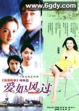 爱如风过(2005)完结全20集迅雷网盘全集下载