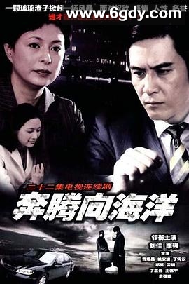 奔腾向海洋(2002)完结全22集迅雷网盘全集下载