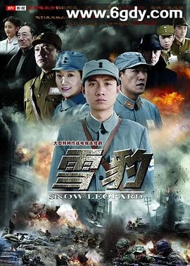 雪豹(2010)完结全40集迅雷网盘全集下载
