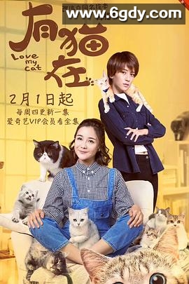 有猫在(2018)完结完结迅雷网盘全集下载