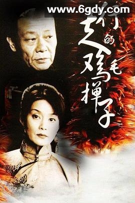 行走的鸡毛掸子(2005)完结已完结迅雷网盘全集下载