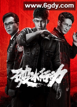 破冰行动(2019)完结全48集迅雷网盘全集下载