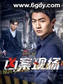 凶案现场(2020)完结全12集迅雷网盘全集下载