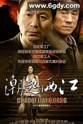 潮起两江(2009)完结全31集迅雷网盘全集下载