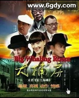 大捕房(2010)完结全33集迅雷网盘全集下载