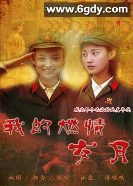 我的燃情岁月(2011)完结已完结迅雷网盘全集下载