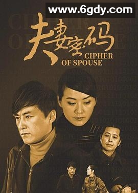 夫妻密码(2010)完结已完结迅雷网盘全集下载