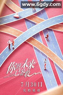 你的未来已签收(2019)完结12集全迅雷网盘全集下载
