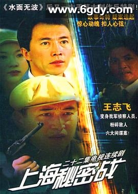 上海秘密战(2000)完结全22集迅雷网盘全集下载