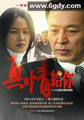 真情给你(2007)完结已完结迅雷网盘全集下载