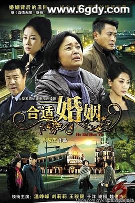 合适婚姻(2010)完结已完结迅雷网盘全集下载