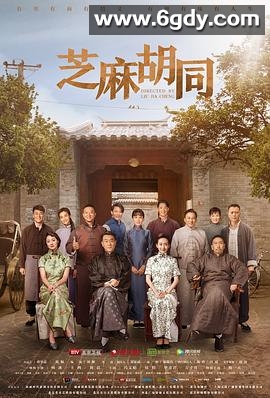 芝麻胡同(2019)完结55集全迅雷网盘全集下载