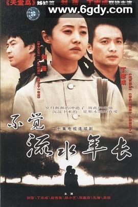 不觉流水年长(2002)完结全17集迅雷网盘全集下载