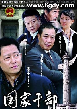 国家干部(2005)完结全30集迅雷网盘全集下载