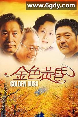 金色黄昏(2008)完结全30集迅雷网盘全集下载