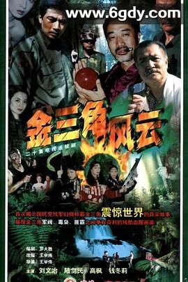 金三角风云(0)完结全20集迅雷网盘全集下载