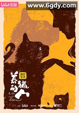 养猫的人(2024)完结6集全迅雷网盘全集下载