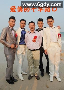 爱情的十字路口(2013)完结全20集迅雷网盘全集下载