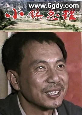 小镇总理(1986)完结全6集迅雷网盘全集下载