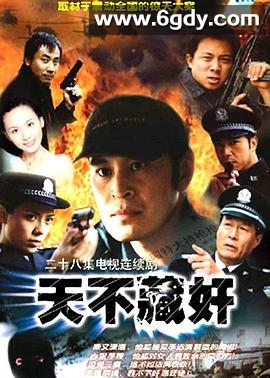 天不藏奸(2003)完结全28集迅雷网盘全集下载