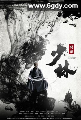 少林问道(2016)完结38集全迅雷网盘全集下载