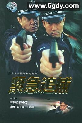 紧急追捕(2001)完结已完结迅雷网盘全集下载