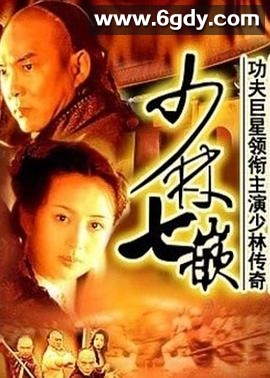 少林七崁(2001)完结已完结迅雷网盘全集下载
