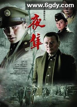 夜隼(2011)完结全28集迅雷网盘全集下载