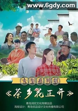 茶乡花正开(2021)完结全24集迅雷网盘全集下载