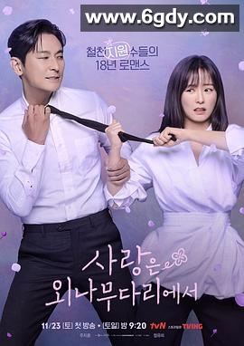 爱在独木桥(2024)完结12集全迅雷网盘全集下载