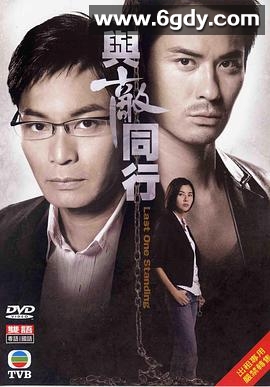 与敌同行(2008)完结22集全迅雷网盘全集下载