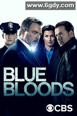 警察世家 第十四季(2024)完结已完结迅雷网盘全集下载