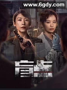 盲点(2025)完结24集全迅雷网盘全集下载