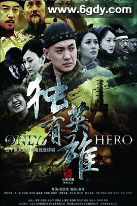独有英雄(2013)完结全34集迅雷网盘全集下载