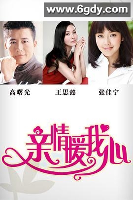 亲情暖我心(2013)完结全35集迅雷网盘全集下载