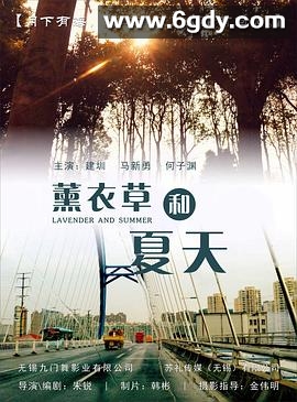 薰衣草和夏天(2022)完结全9集迅雷网盘全集下载
