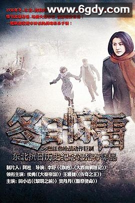 冬日惊雷(2013)完结全28集迅雷网盘全集下载
