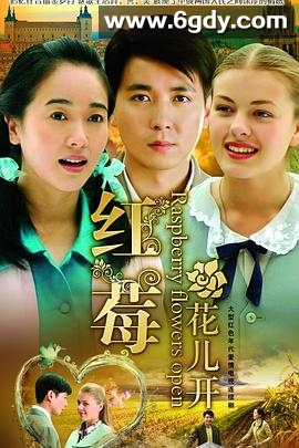 红莓花儿开(2009)完结全30集迅雷网盘全集下载