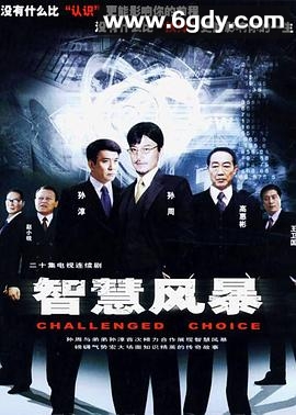 智慧风暴(2005)完结全20集迅雷网盘全集下载